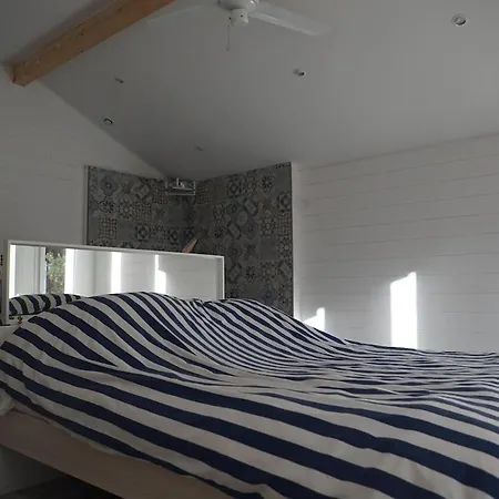 Maison Avec Piscine Proche Ocean Tatil Evi Capbreton