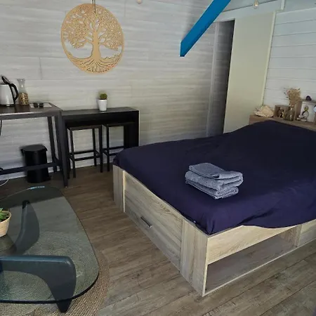 Maison Avec Piscine Proche Ocean * Capbreton