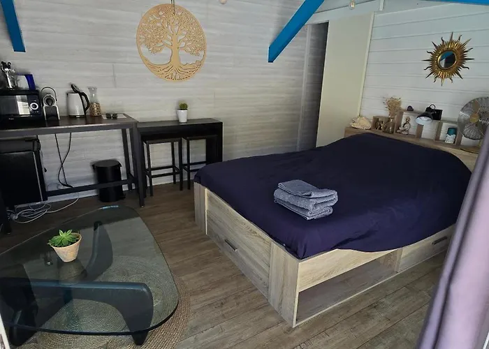 Maison Avec Piscine Proche Ocean * 卡布勒通